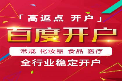 实战技巧：竞价推广案例解析与优化策略